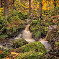 Buy canvas prints of Wyming Brook by Tony Clement