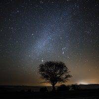 Buy canvas prints of Stars over the New Forest by Chris Nesbit