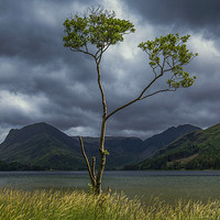 Buy canvas prints of  Buttermere golden hour by mark dodd