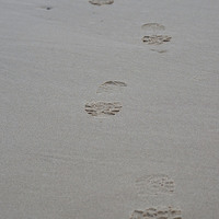 Buy canvas prints of  The footprints by mark dodd