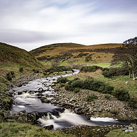Buy canvas prints of Breamish Valley by mark dodd