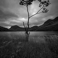 Buy canvas prints of Buttermere Lake by mark dodd