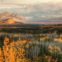 Buy canvas prints of Autumn in Denali by Gail Johnson
