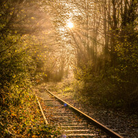 Buy canvas prints of Misty railway by Gail Johnson