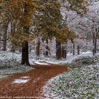 Buy canvas prints of A snowy start to a walk  by Gail Johnson