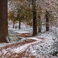 Buy canvas prints of A snowy start to a walk by Gail Johnson