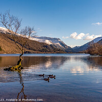 Buy canvas prints of Views around Llanberis in winter with snow on the hills  by Gail Johnson