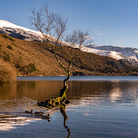 Buy canvas prints of Views around Llanberis in winter with snow on the hills  by Gail Johnson