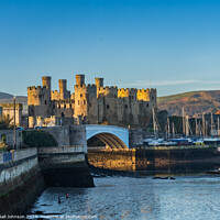 Buy canvas prints of Conwy castle and town at sunrise North Wales  by Gail Johnson