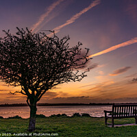 Buy canvas prints of Sunrise at Penrhos Nature Park, Anglesey  by Gail Johnson