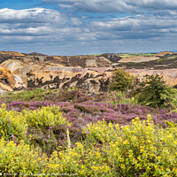 Buy canvas prints of Parys Mountain ancient copper mine by Gail Johnson