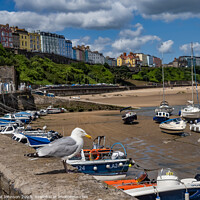 Buy canvas prints of Virws around the seasie town to Tenby, South Wales by Gail Johnson