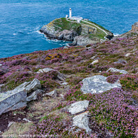 Buy canvas prints of Views around South Stack lighthouse with the gorse and heather o by Gail Johnson