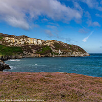 Buy canvas prints of Views around Holyhead Breakwater park with the heather and gorse by Gail Johnson