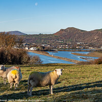Buy canvas prints of Views around Porthmadog countryside north Wales uk by Gail Johnson