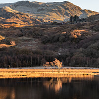 Buy canvas prints of Reflection views around Snowdonia lakes in winter  by Gail Johnson