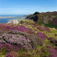 Buy canvas prints of Views from Conwy Mountain by Gail Johnson
