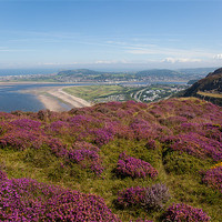 Buy canvas prints of Views from Conwy Mountain by Gail Johnson
