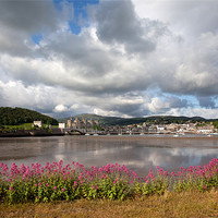 Buy canvas prints of View to Conwy by Gail Johnson