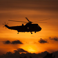 Buy canvas prints of Seaking helicopter by Gail Johnson