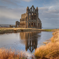 Buy canvas prints of Whitby Abbey by Gail Johnson