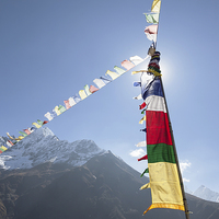 Buy canvas prints of Prayer Flags by Gail Johnson