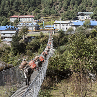 Buy canvas prints of Mule Train going over a suspension bridge by Gail Johnson