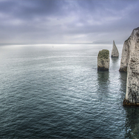 Buy canvas prints of Old Harry Rocks Dorset by Gail Johnson