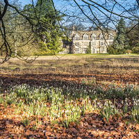 Buy canvas prints of Anglesey Abbey Gardens in Winter by Gail Johnson