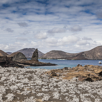 Buy canvas prints of  Bartolome Island - Galapagos by Gail Johnson