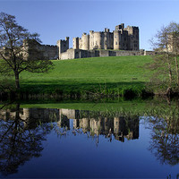 Buy canvas prints of Alnwick Castle by Gail Johnson