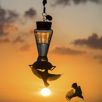 Buy canvas prints of Sunset and birds on a feeder by Gail Johnson
