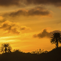 Buy canvas prints of Views around St Joris by Gail Johnson