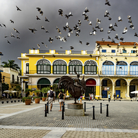 Buy canvas prints of Havana Square by Gail Johnson