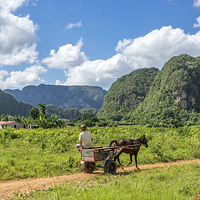 Buy canvas prints of Vinales Valley - Cuba by Gail Johnson