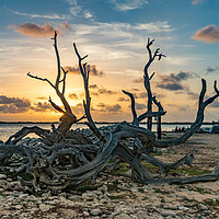 Buy canvas prints of Bonaire Sunset by Gail Johnson