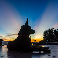 Buy canvas prints of  Dogs in the sunset  Curacao Views by Gail Johnson