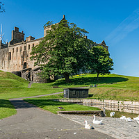 Buy canvas prints of Linlithgow town and castle by Gail Johnson