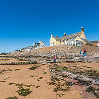 Buy canvas prints of  Elie Beach   Scotland by Gail Johnson