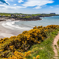 Buy canvas prints of Spring Views around Caemes Bay with the gorse out  by Gail Johnson