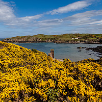 Buy canvas prints of Spring Views around Porth Wen with teh gorse and b by Gail Johnson