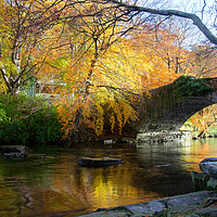Buy canvas prints of Autumn at Ogwen Bank by Gail Johnson