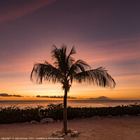 Buy canvas prints of A sunset over a sandy beach next to a palm tree by Gail Johnson