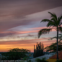 Buy canvas prints of sunset and a plam tree by Gail Johnson