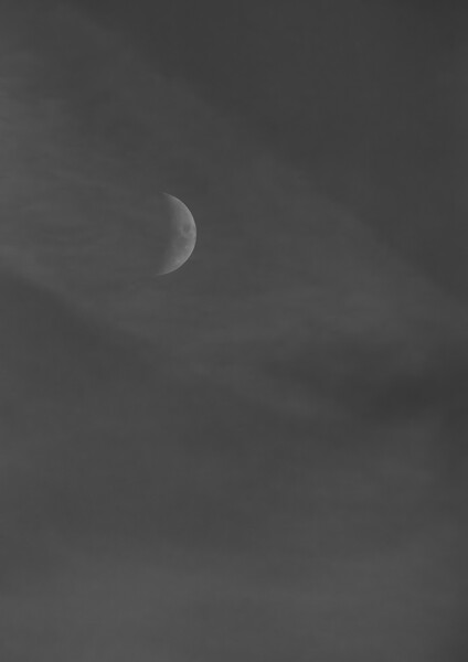 Emerging Moon - Mono Picture Board by Glen Allen
