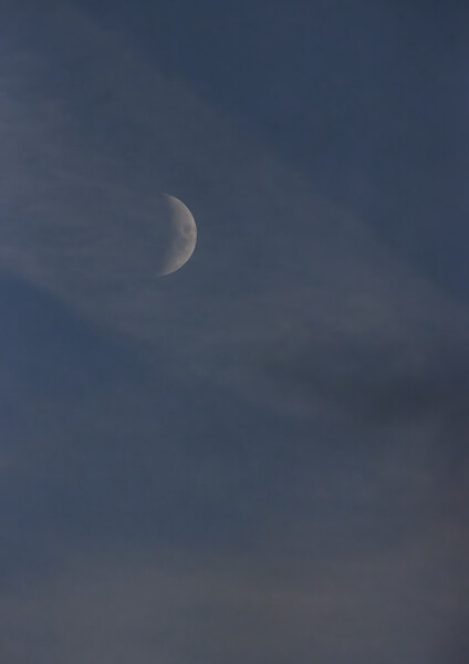 Emerging Moon - Daytime Picture Board by Glen Allen