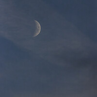 Buy canvas prints of Emerging Moon - Daytime by Glen Allen
