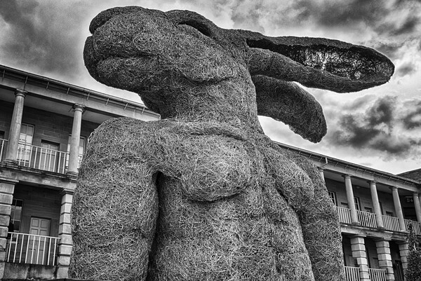 Lady Hare Torso - At the Piece Hall, Halifax Picture Board by Glen Allen