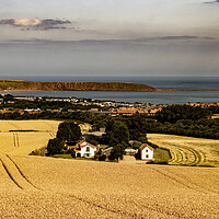Buy canvas prints of Golden Fields of Wheat in Hunmanby Overlooking Filey Bay and Filey Brigg by Glen Allen