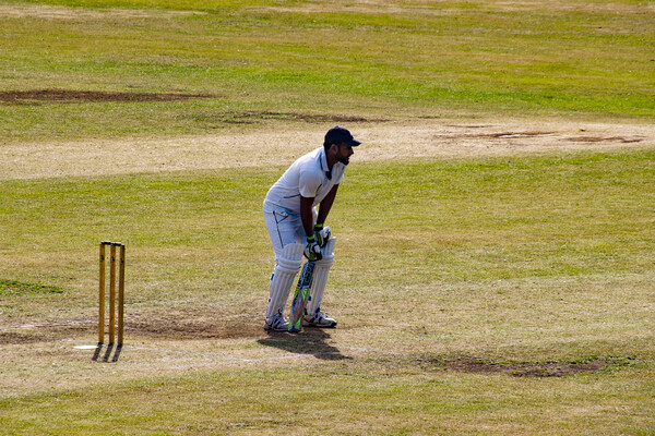 I Don't Like Cricket, eh, oh no, I Love It! Picture Board by Glen Allen